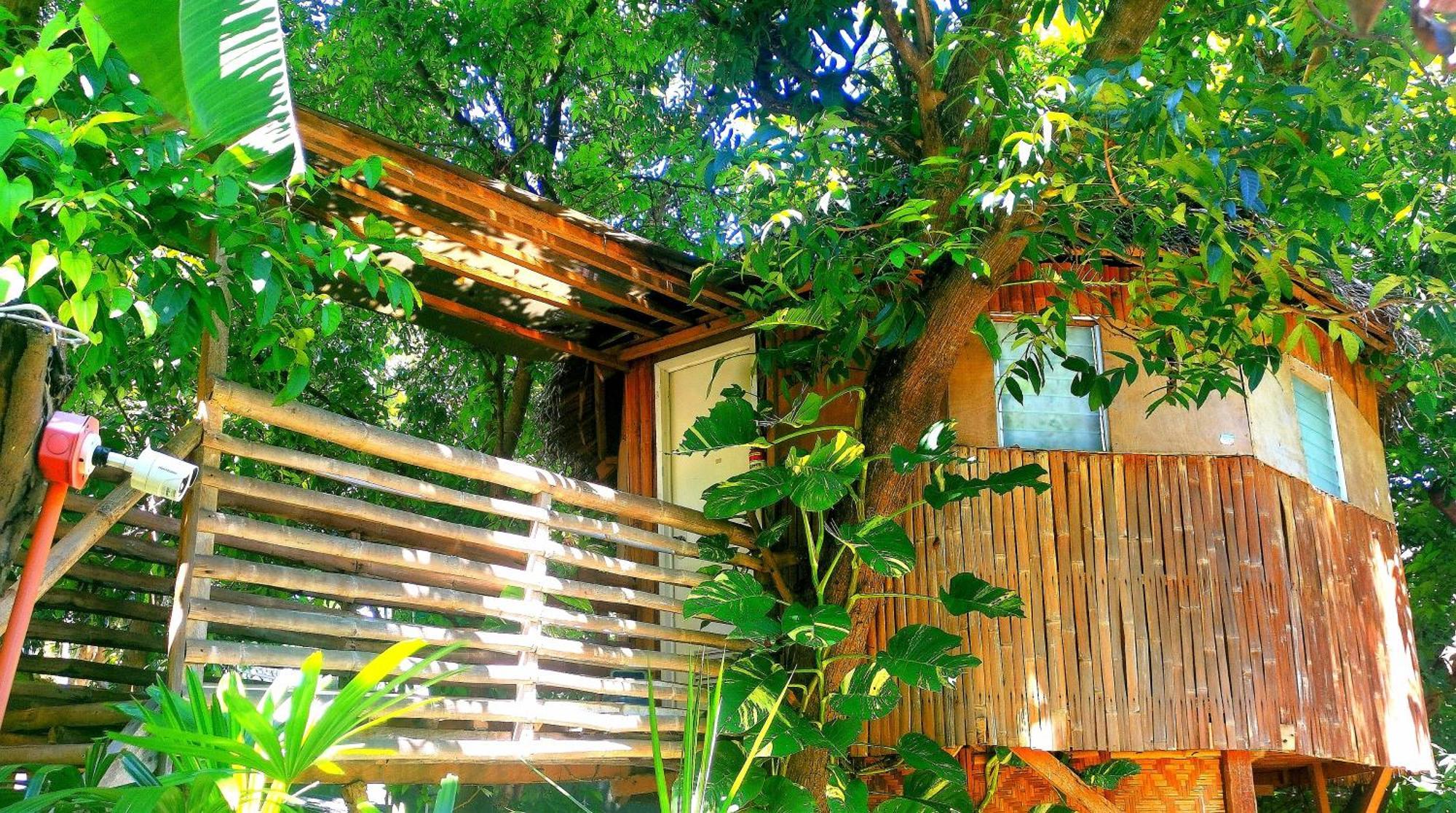 Stay N Save B&B Oslob Habitación foto